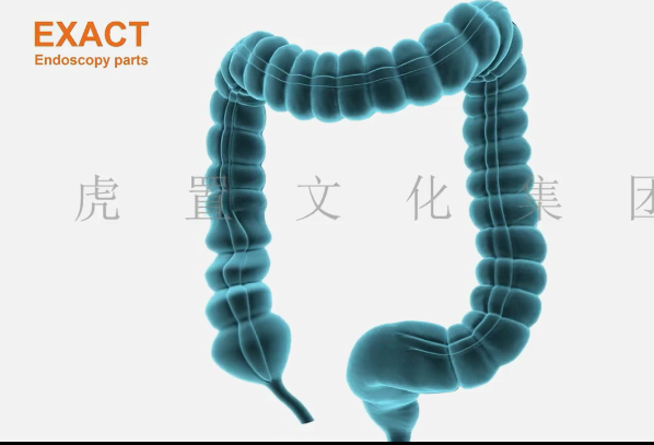 如何制作三维医疗产品动画，上海3d医疗动画制作哪家